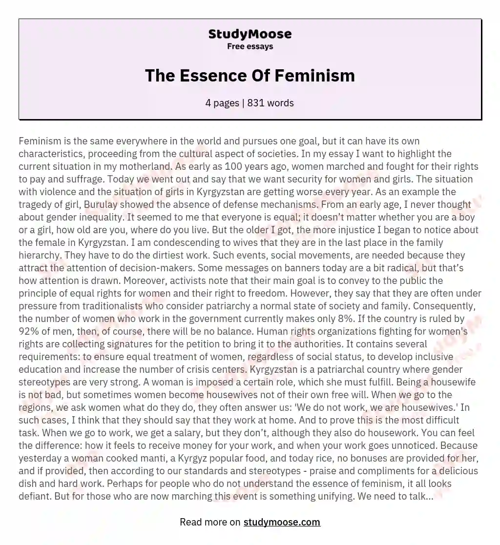 The Essence Of Feminism essay