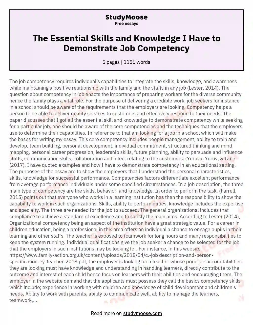 professional competencies essay