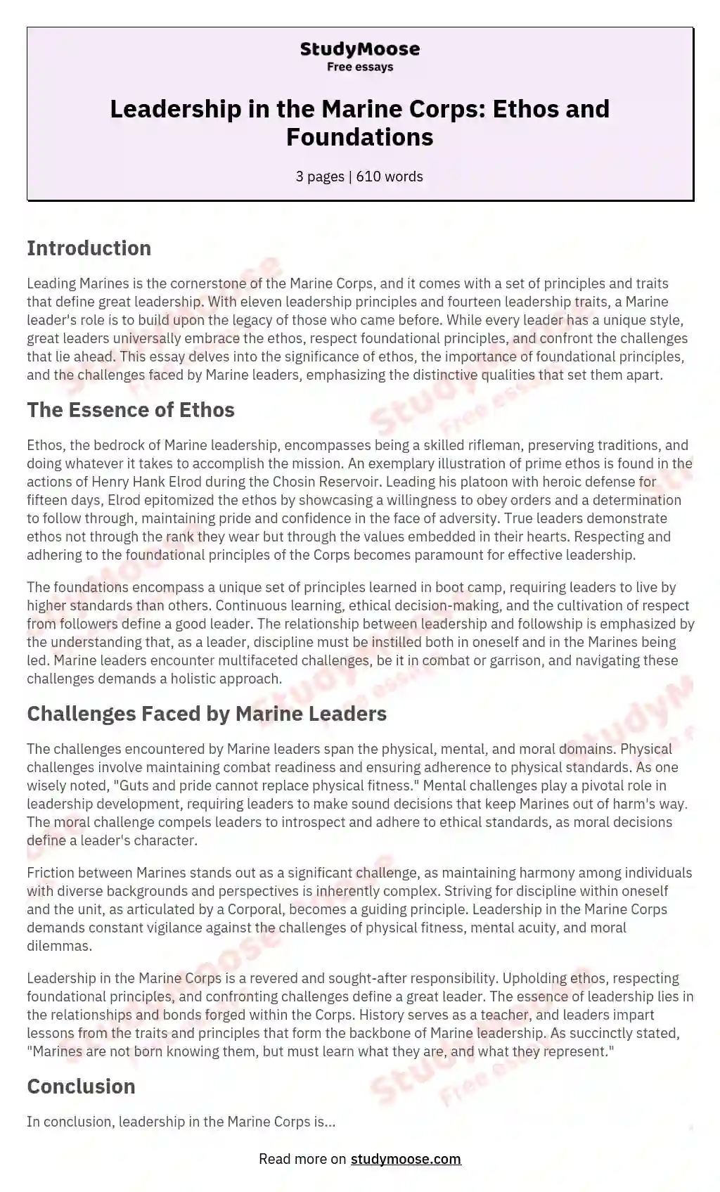 Leadership in the Marine Corps: Ethos and Foundations essay