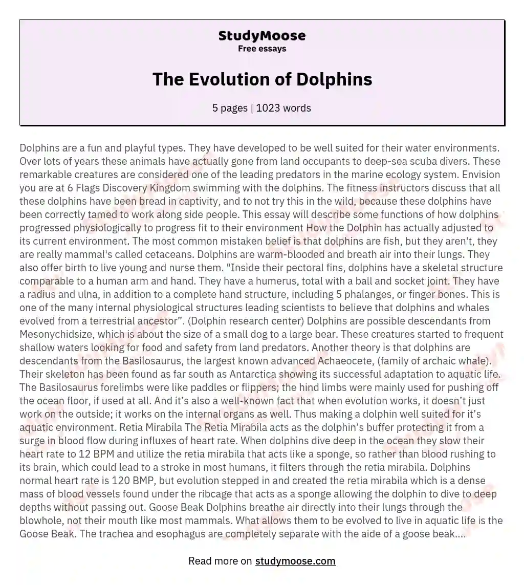 The Evolution of Dolphins essay