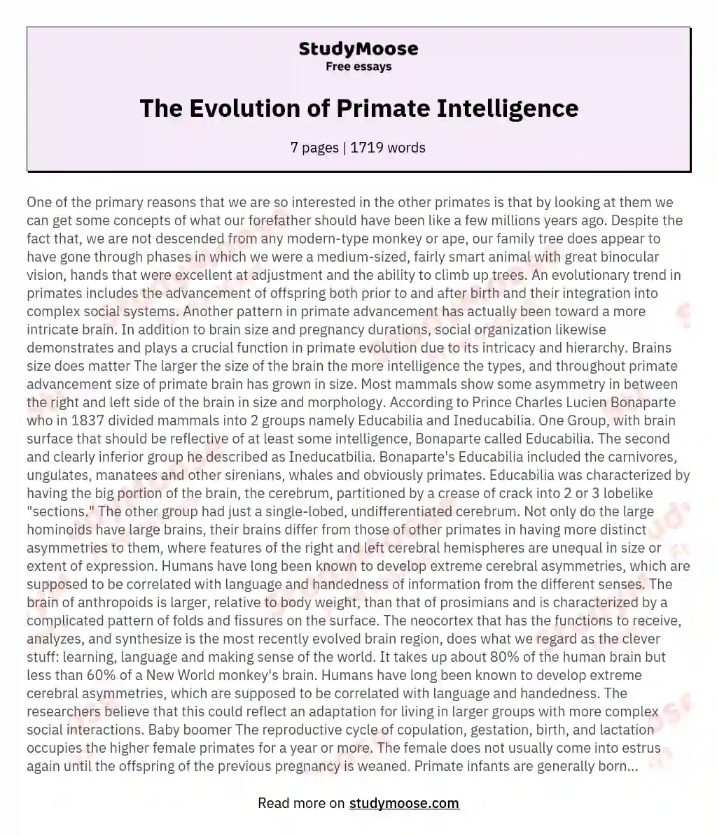 The Evolution of Primate Intelligence essay