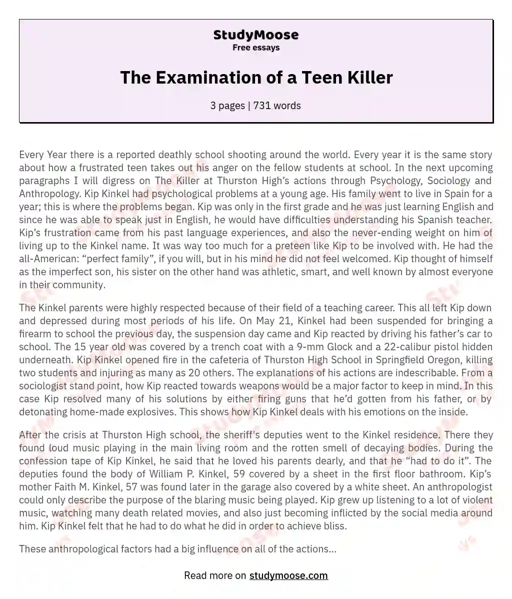 The Examination of a Teen Killer essay