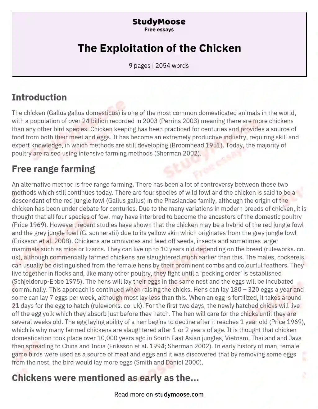 The Exploitation of the Chicken essay