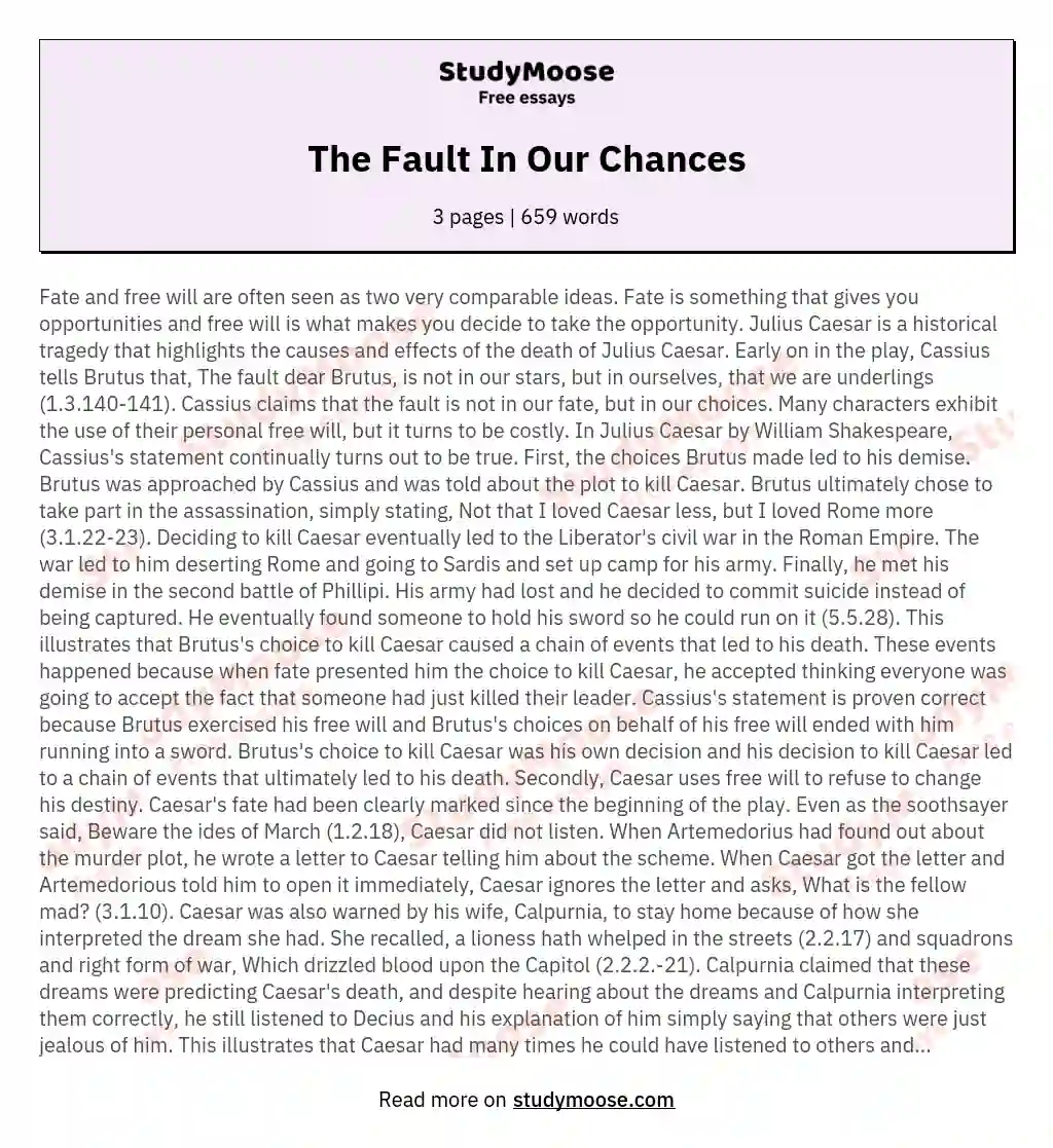 The Fault In Our Chances essay