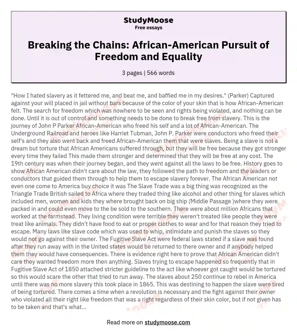 Breaking the Chains: African-American Pursuit of Freedom and Equality essay