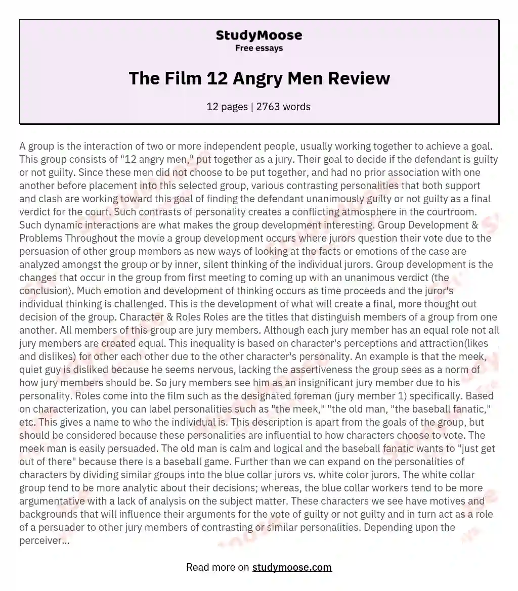 The Film 12 Angry Men Review essay