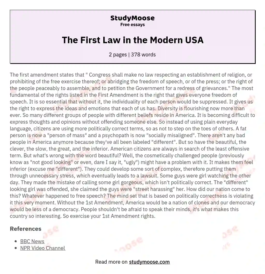 The First Law in the Modern USA essay