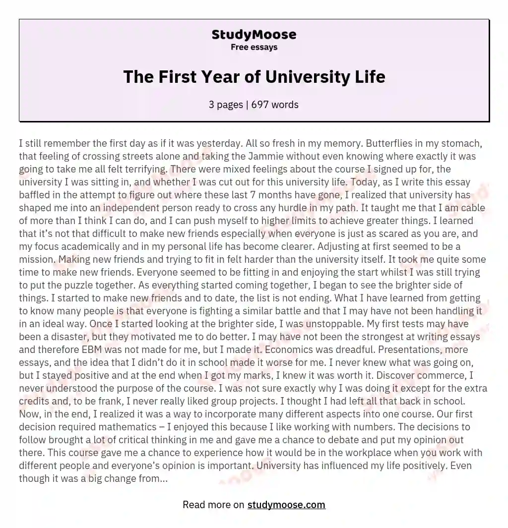 The First Year of University Life essay