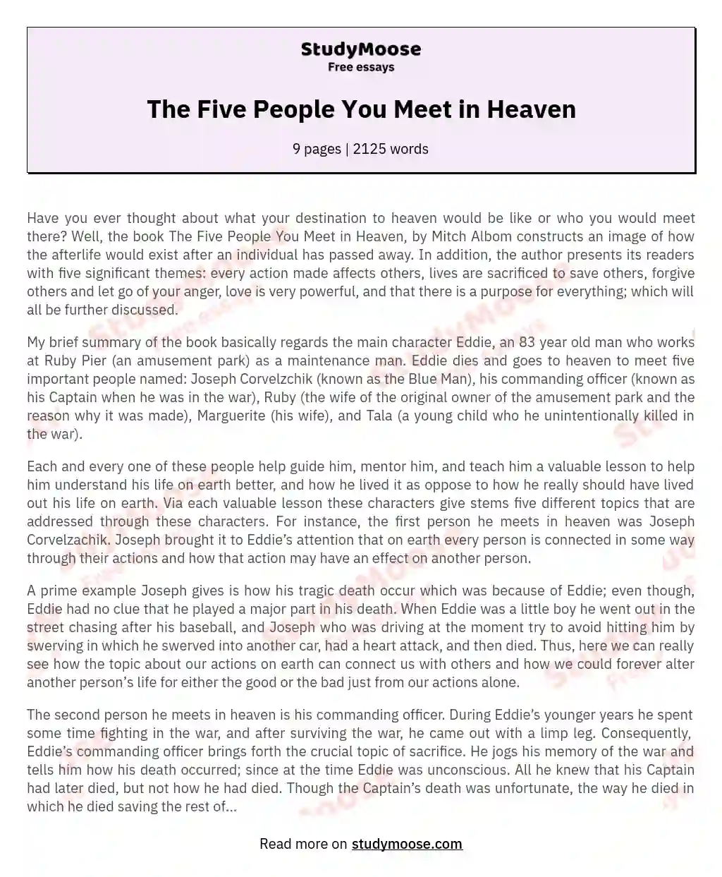 The Five People You Meet in Heaven essay