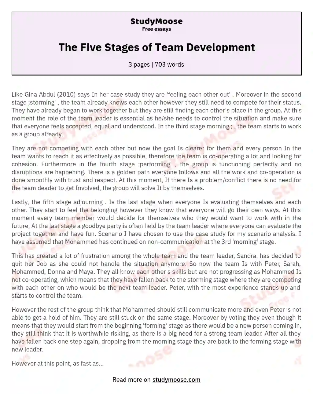 The Five Stages of Team Development essay
