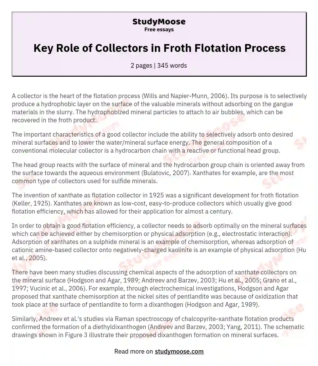 Key Role of Collectors in Froth Flotation Process essay