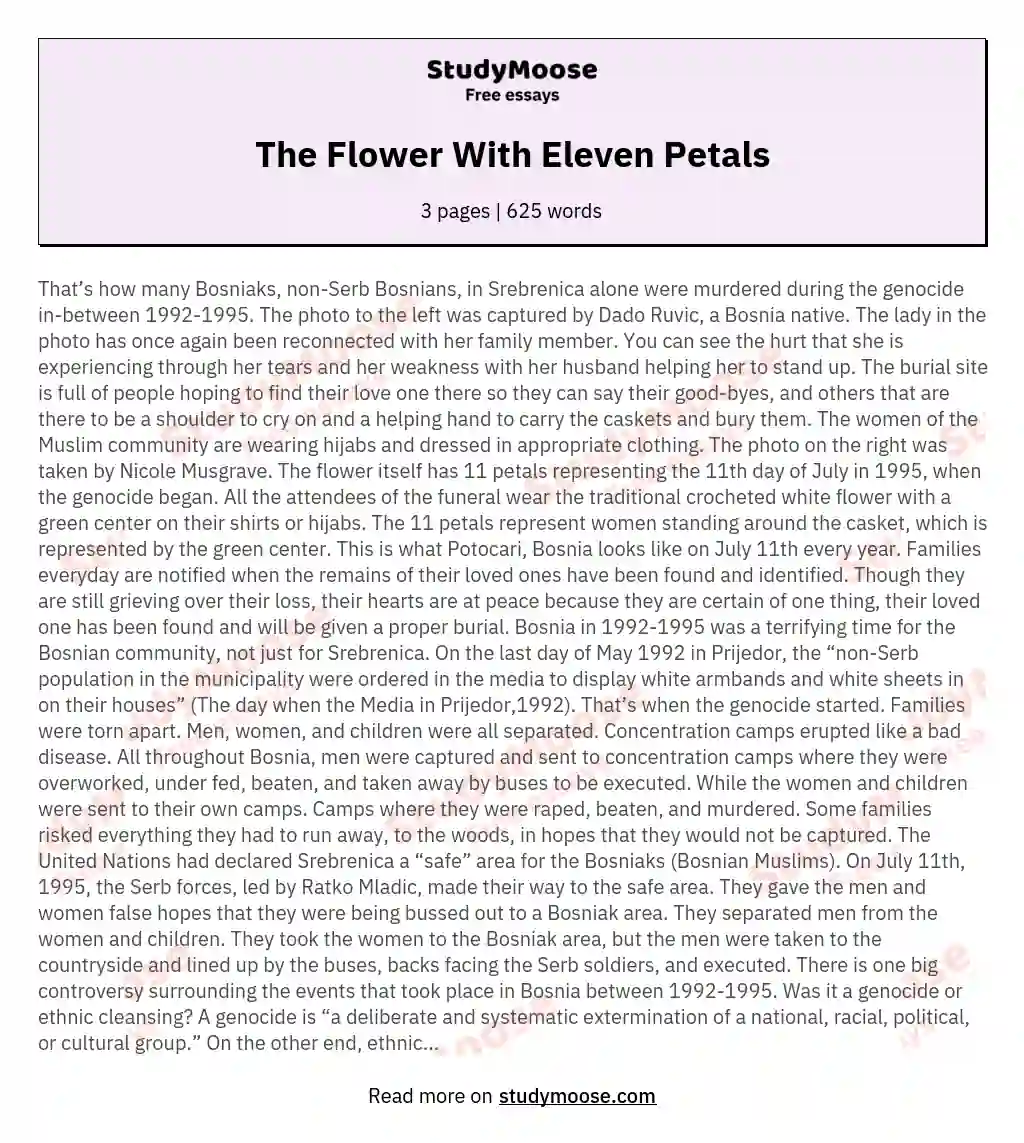 The Flower With Eleven Petals essay