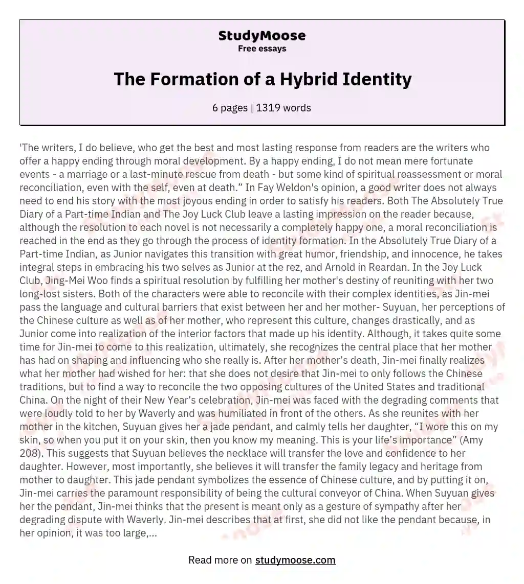 The Formation of a Hybrid Identity essay