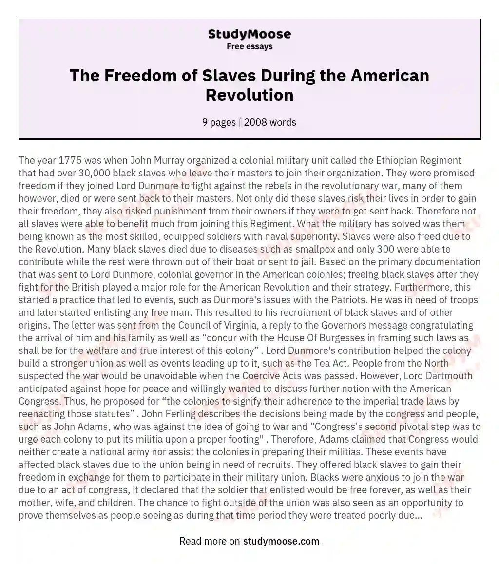 The Freedom of Slaves During the American Revolution essay
