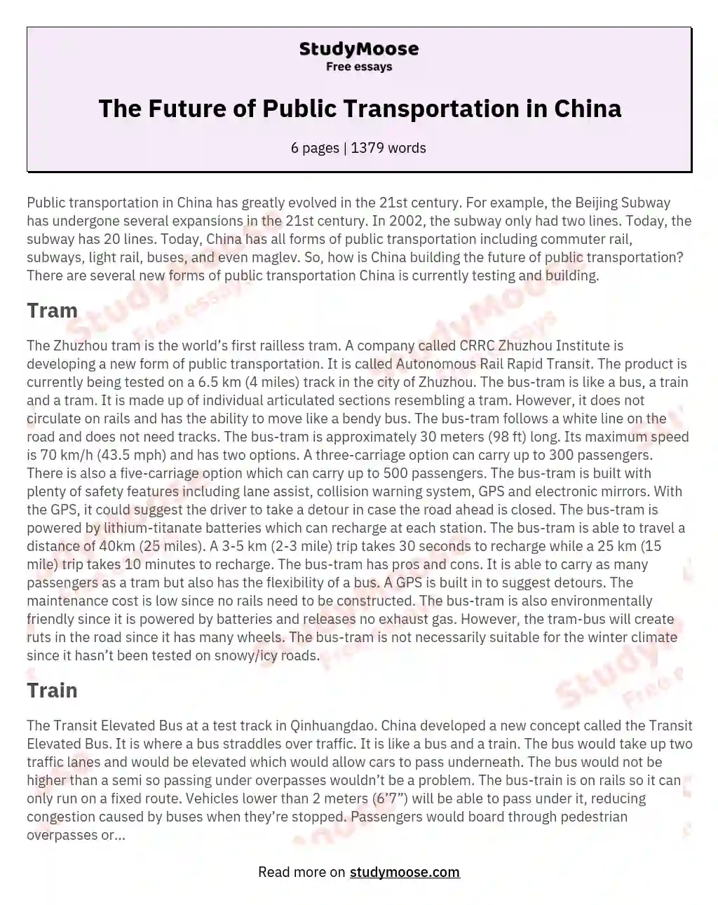The Future of Public Transportation in China essay