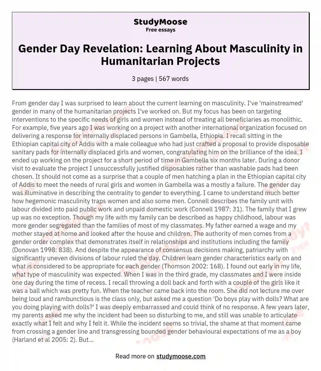 Gender Day Revelation: Learning About Masculinity in Humanitarian Projects essay
