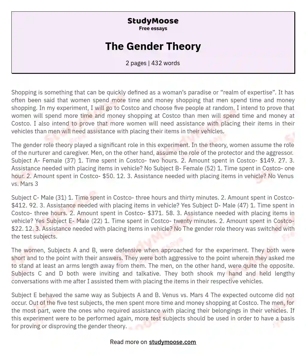 The Gender Theory essay