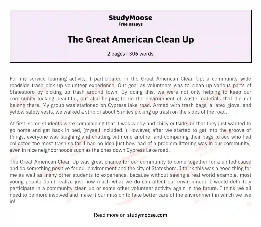 The Great American Clean Up essay