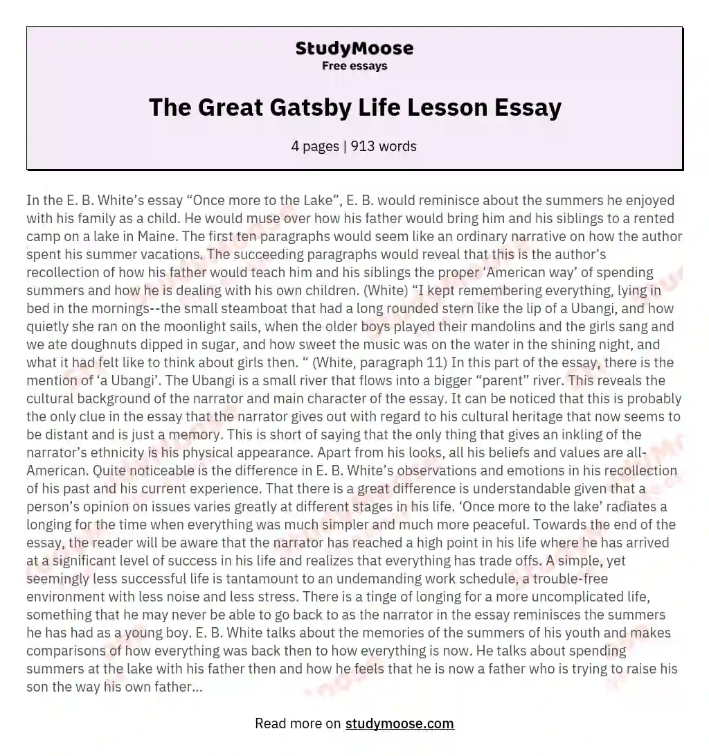 The Great Gatsby Life Lesson Essay essay