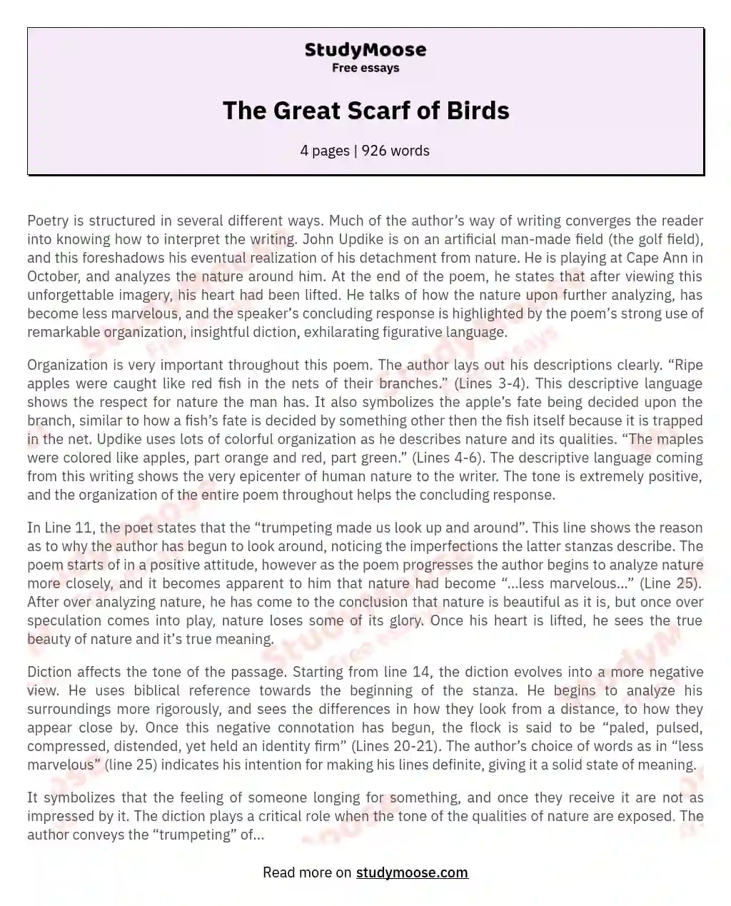 The Great Scarf of Birds essay