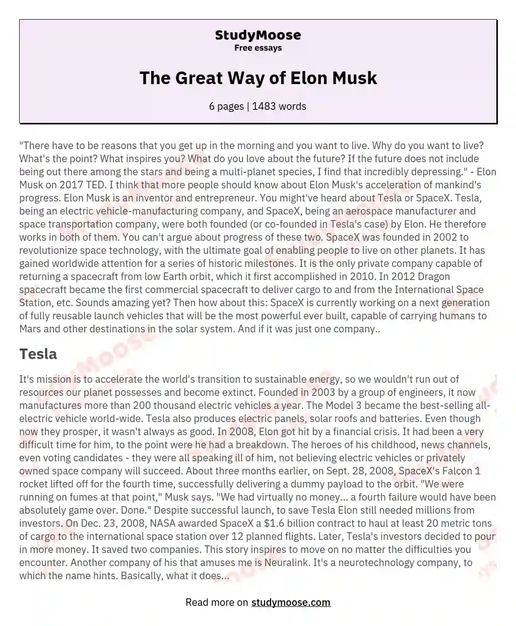The Great Way of Elon Musk essay