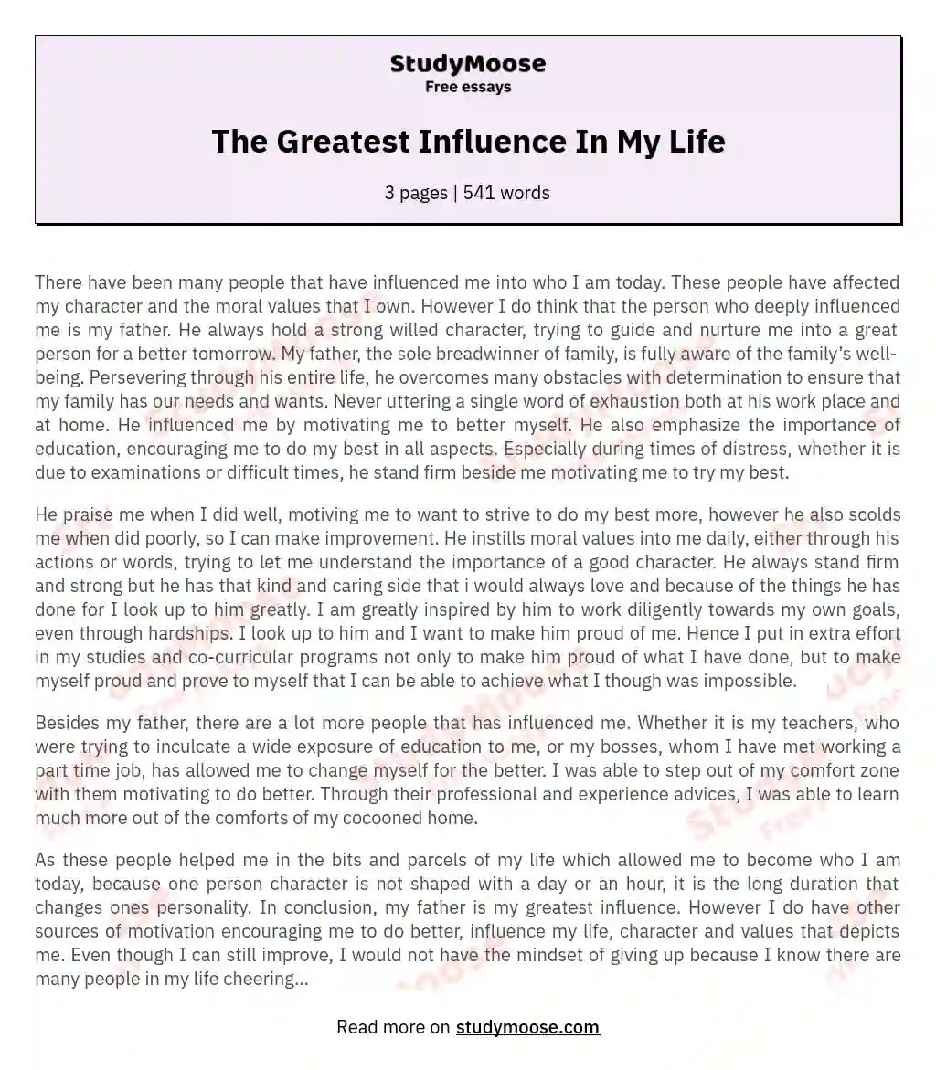 The Greatest Influence In My Life essay
