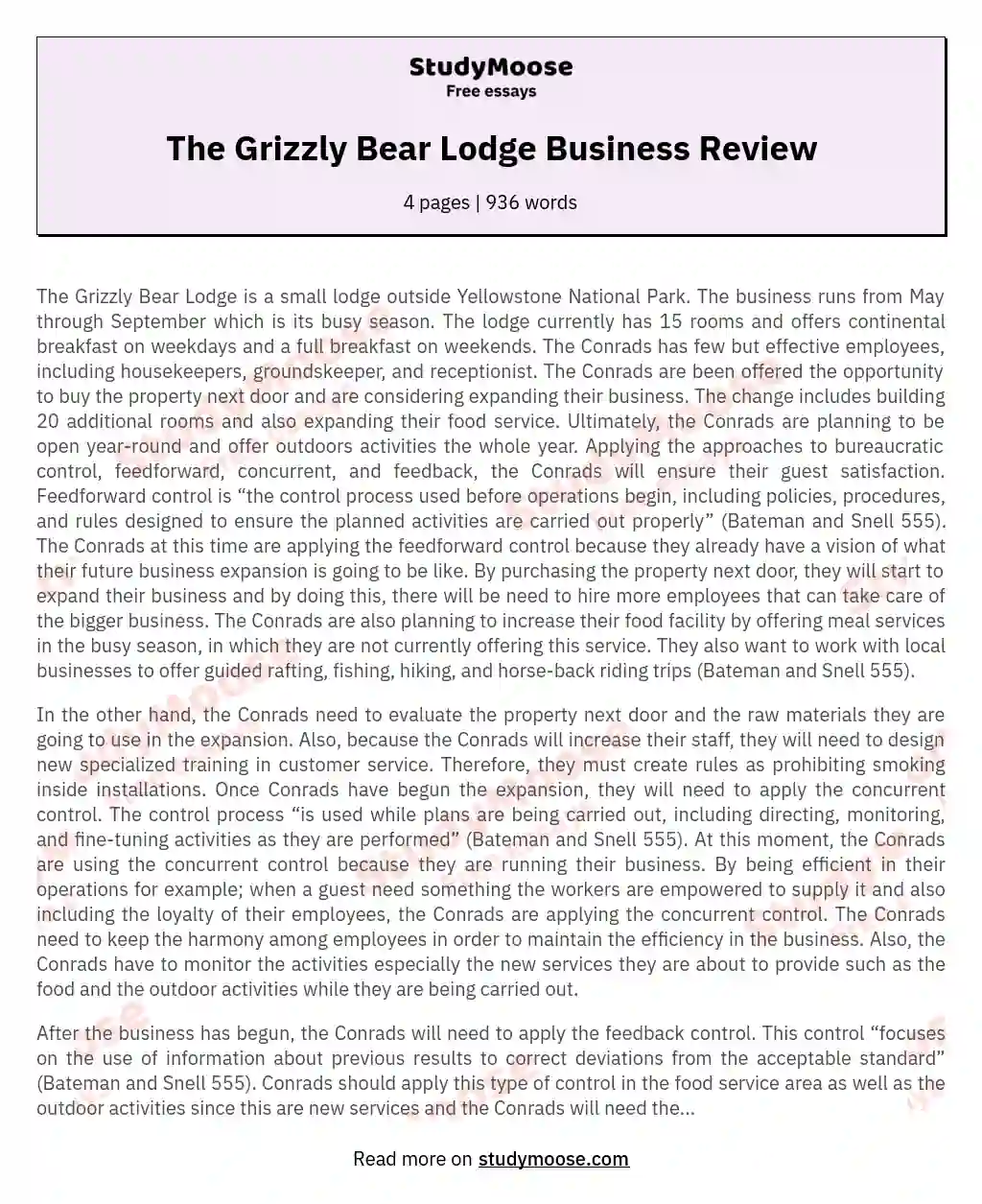 The Grizzly Bear Lodge Business Review essay