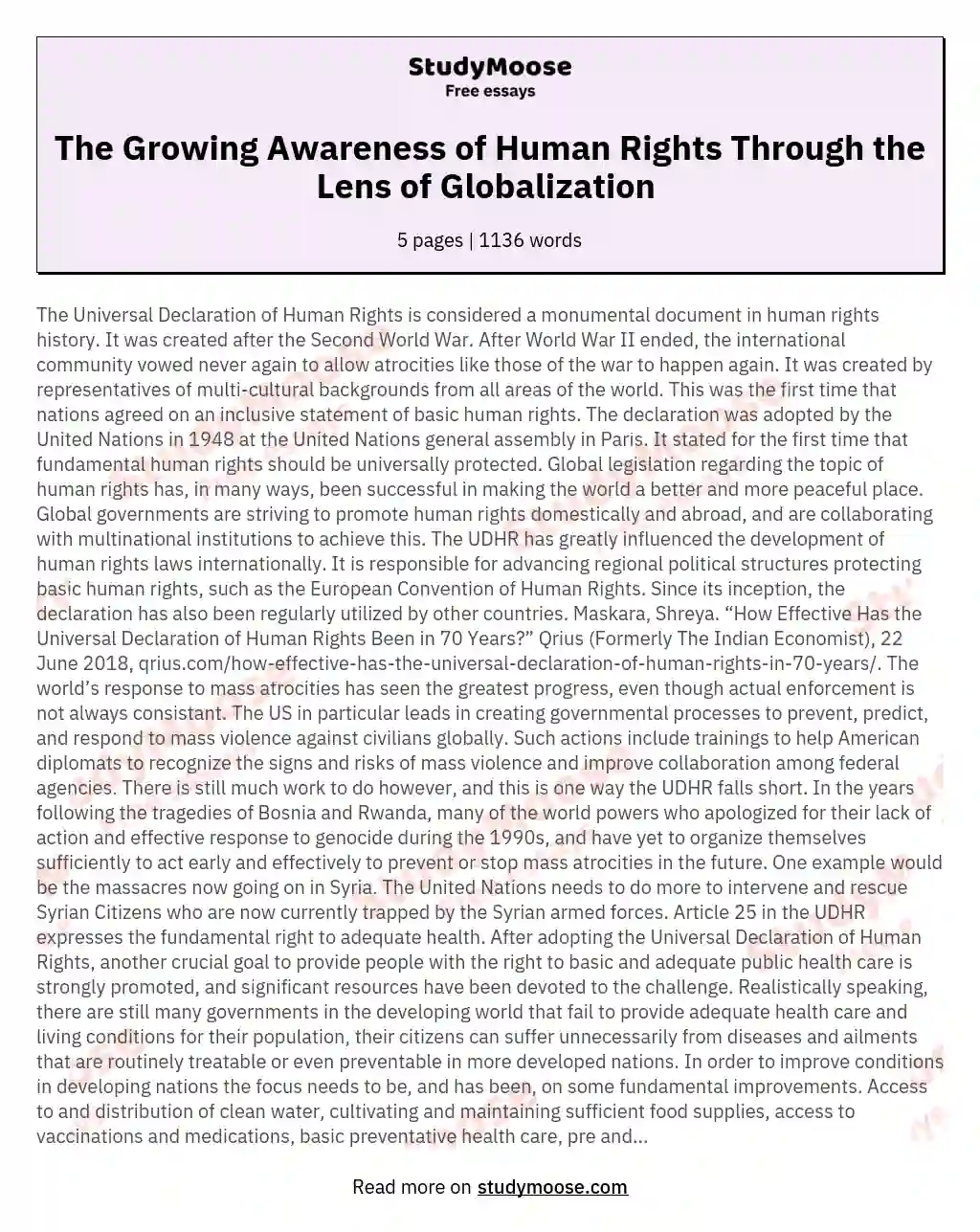 The Growing Awareness of Human Rights Through the Lens of Globalization  essay