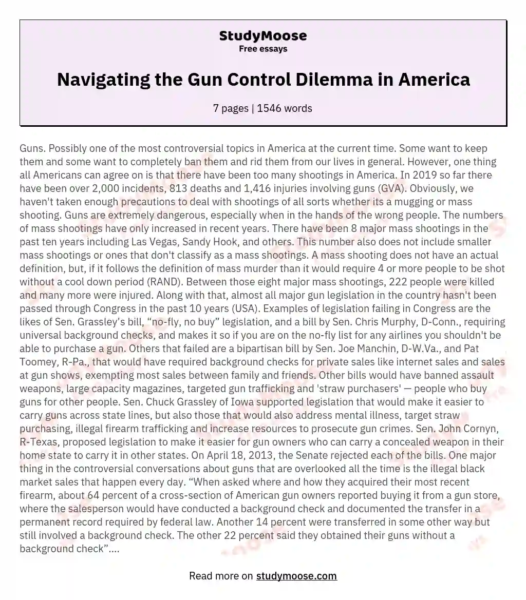 Navigating the Gun Control Dilemma in America essay