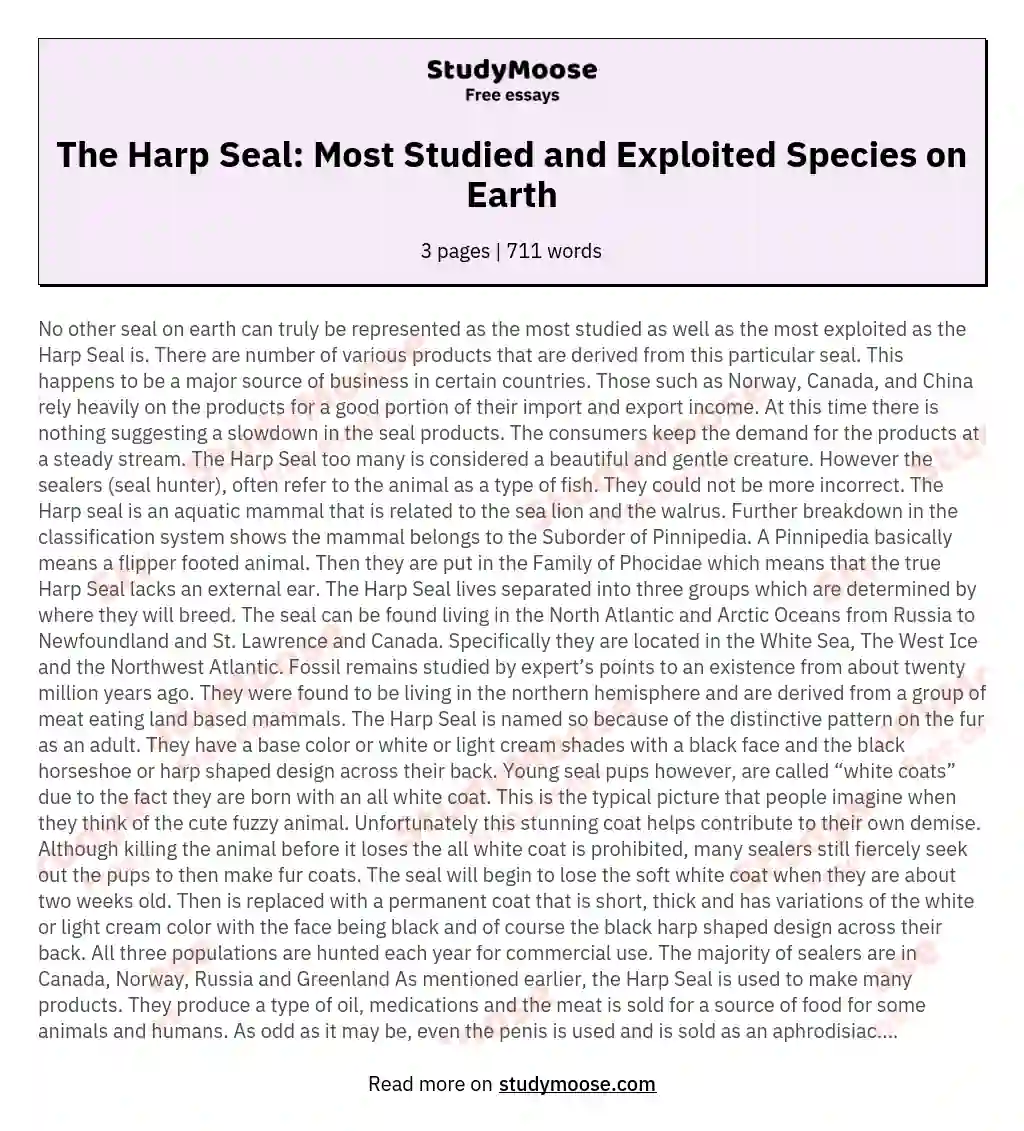 The Harp Seal: Most Studied and Exploited Species on Earth essay