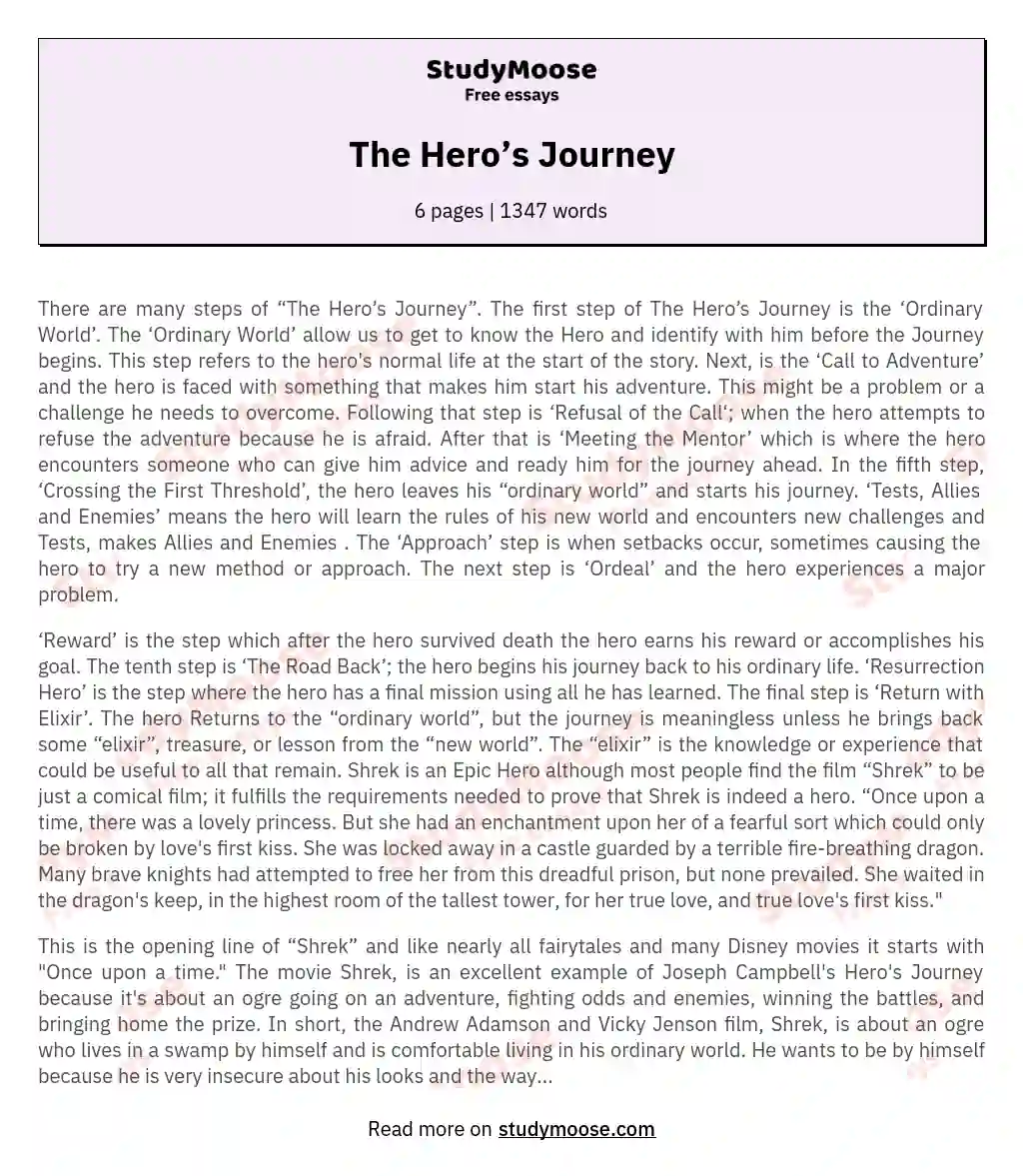 The Hero’s Journey essay