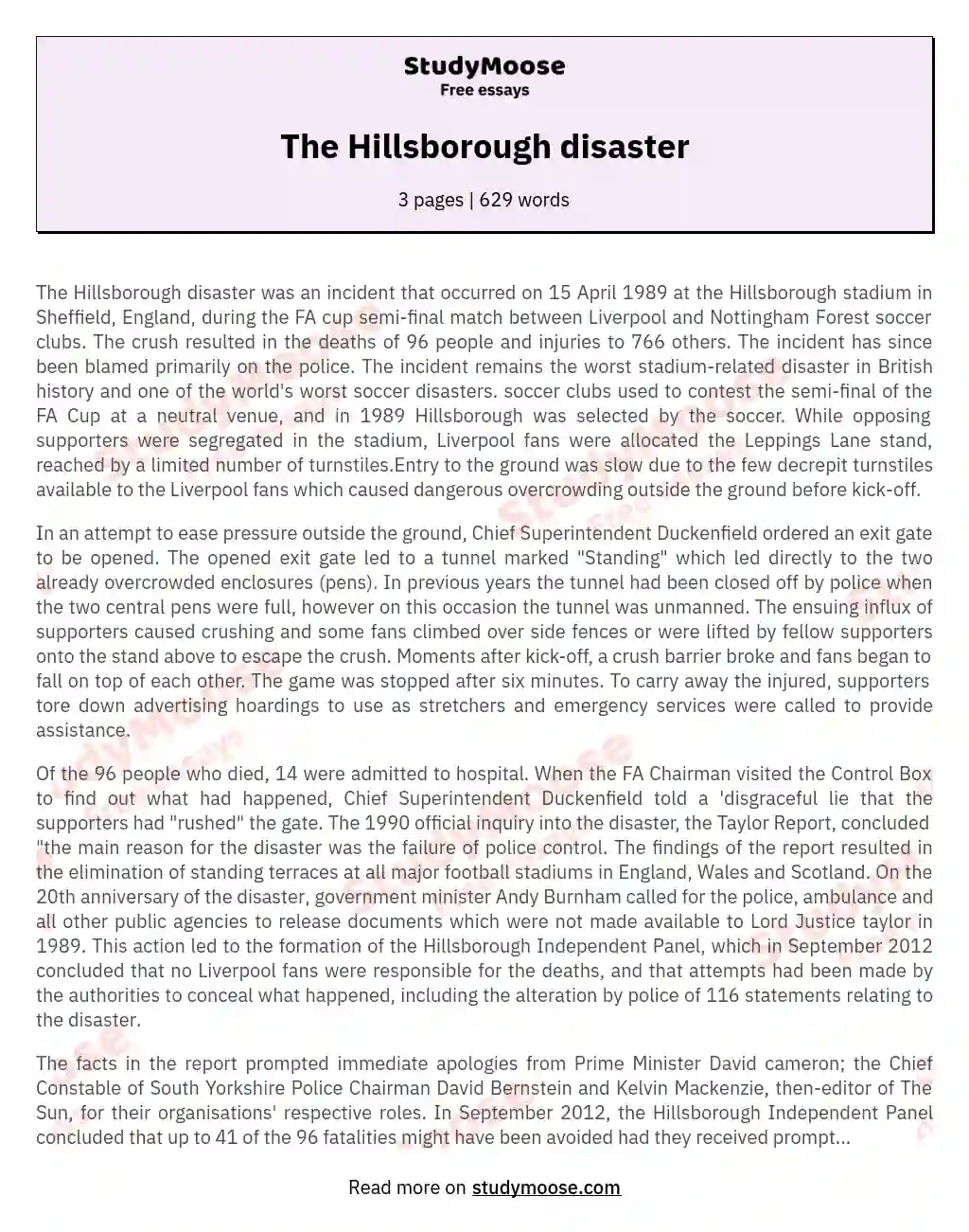 The Hillsborough Disaster: A Tragic Reminder of Negligence essay