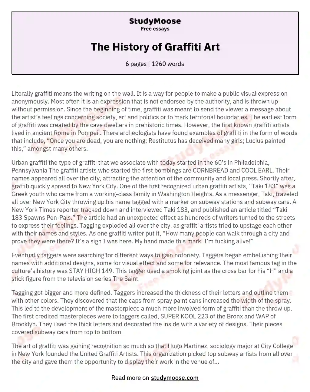 The History of Graffiti Art essay