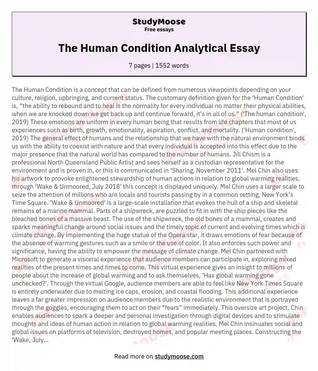 The Human Condition Analytical Essay essay