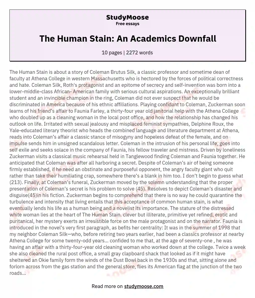 The Human Stain: An Academics Downfall essay