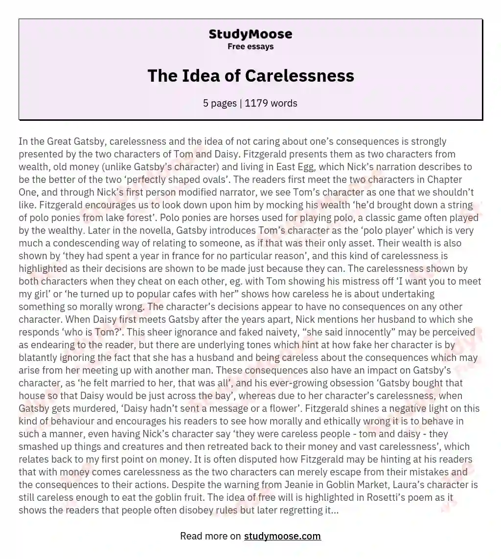 The Idea of Carelessness essay