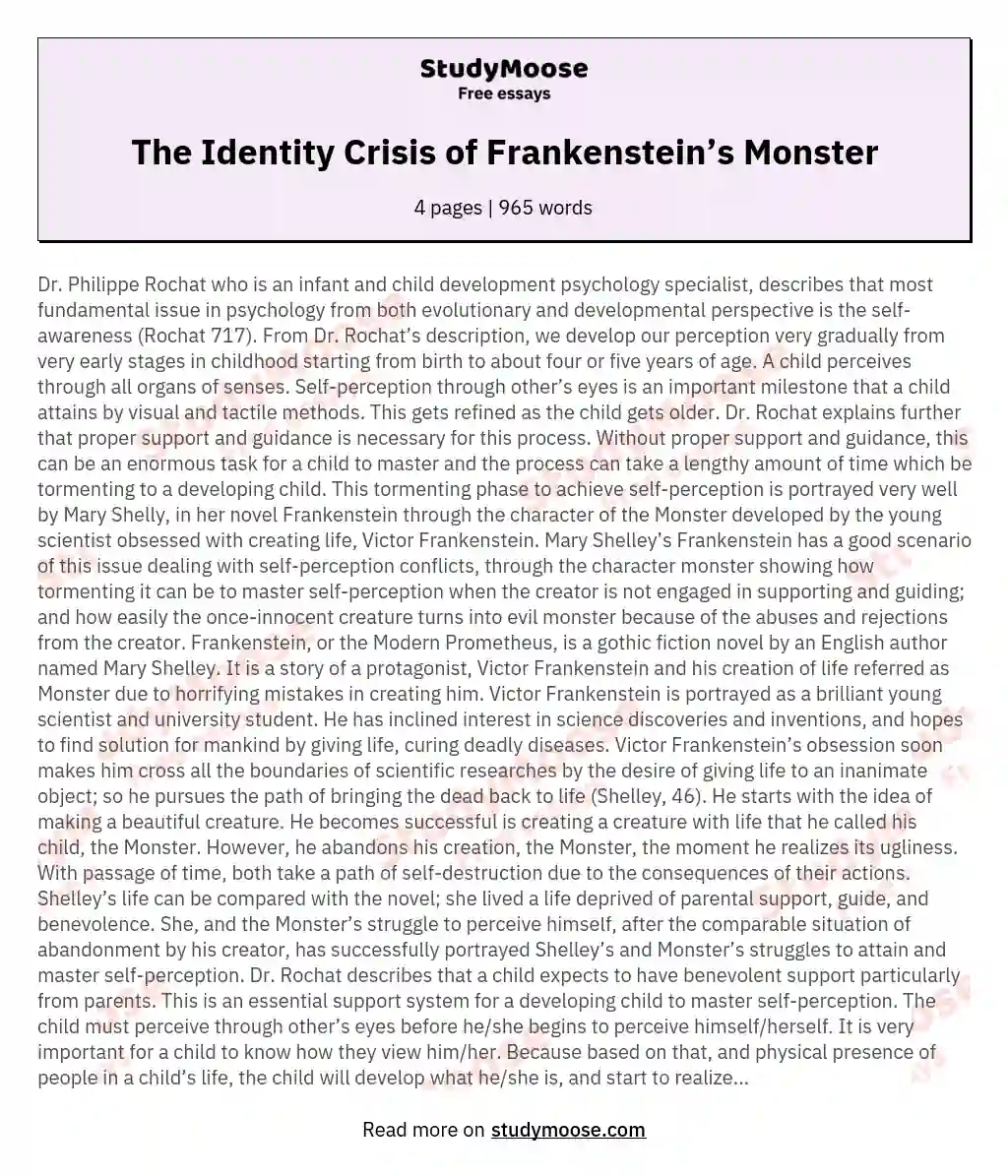 The Identity Crisis of Frankenstein’s Monster essay