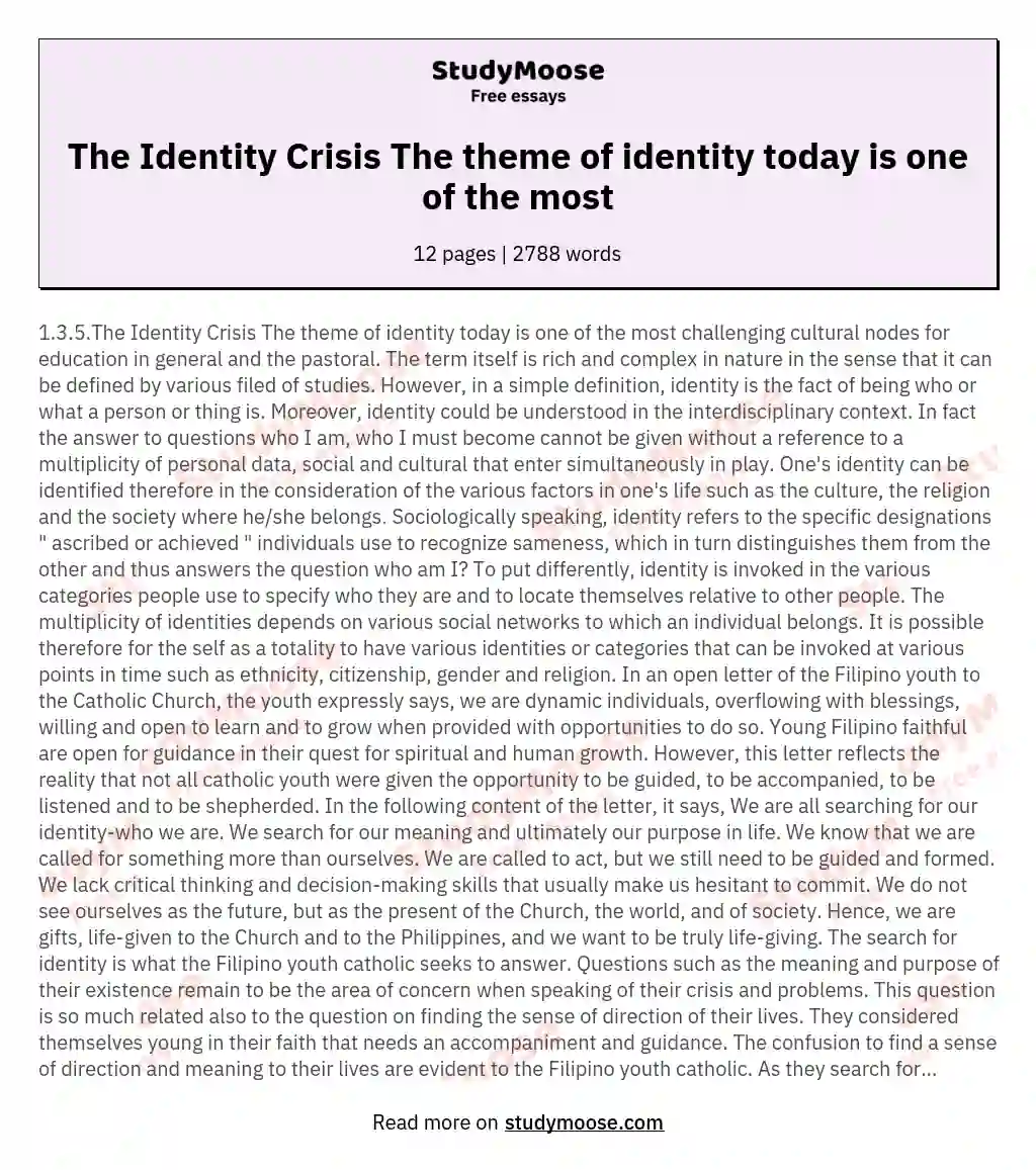 The Identity Crisis The theme of identity today is one of the most