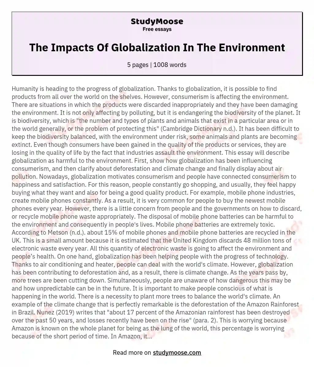The Impacts Of Globalization In The Environment essay