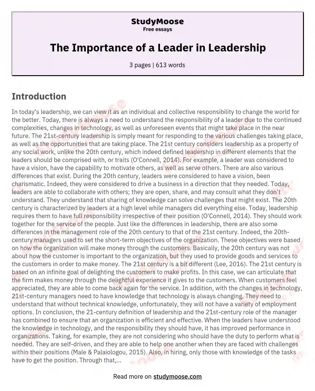 leader definition essay