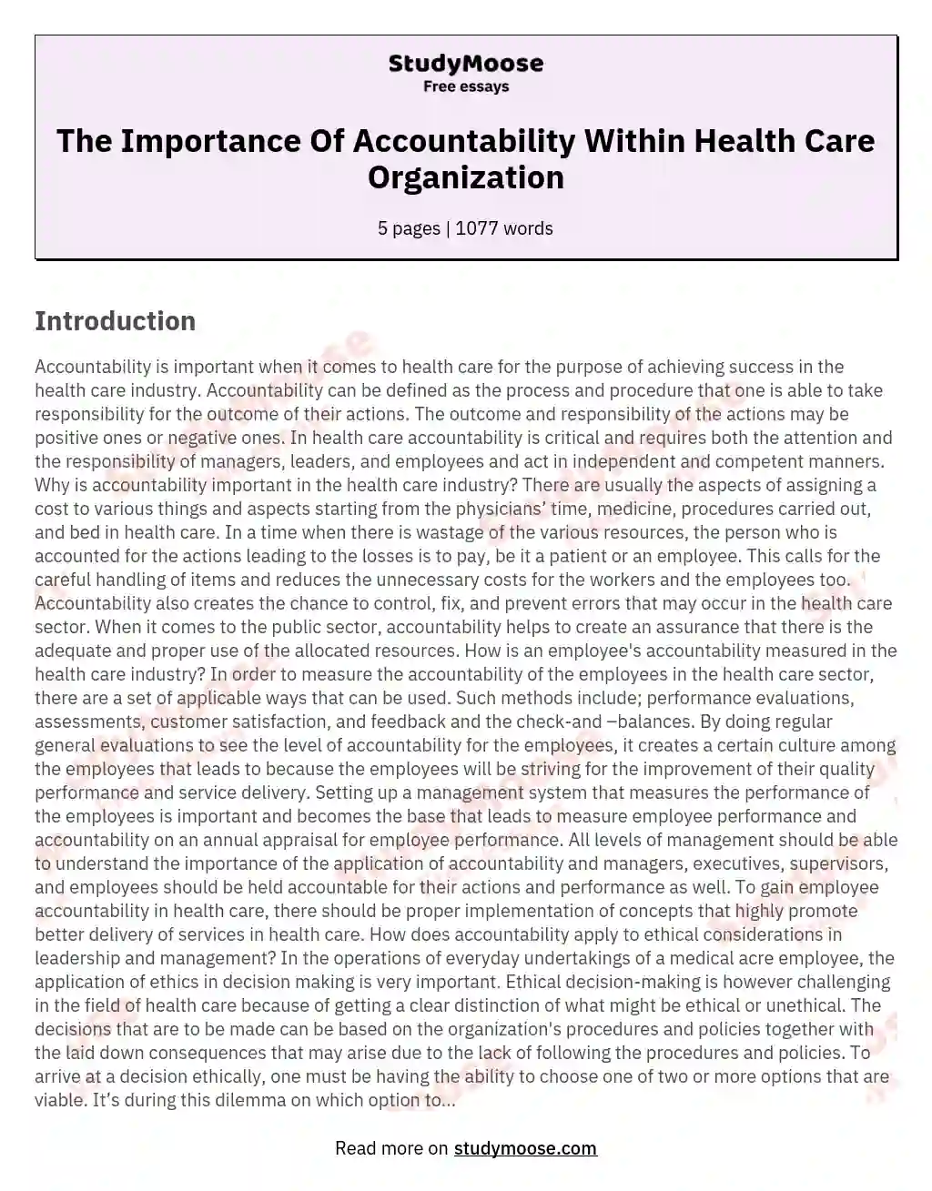 The Importance Of Accountability Within Health Care Organization essay