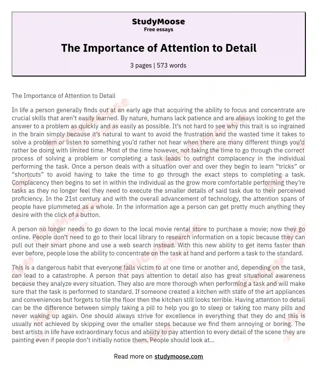 The Importance of Attention to Detail essay