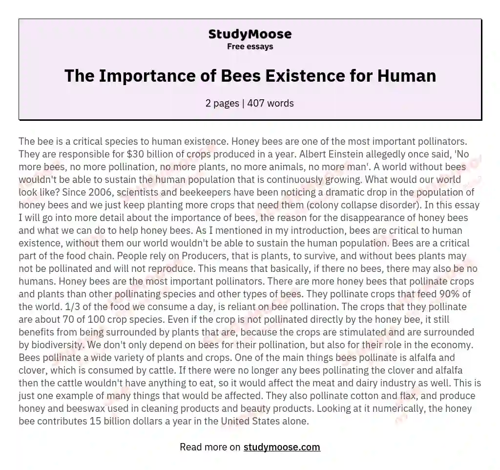 The Importance Of Bees Existence For Human Free Essay Example