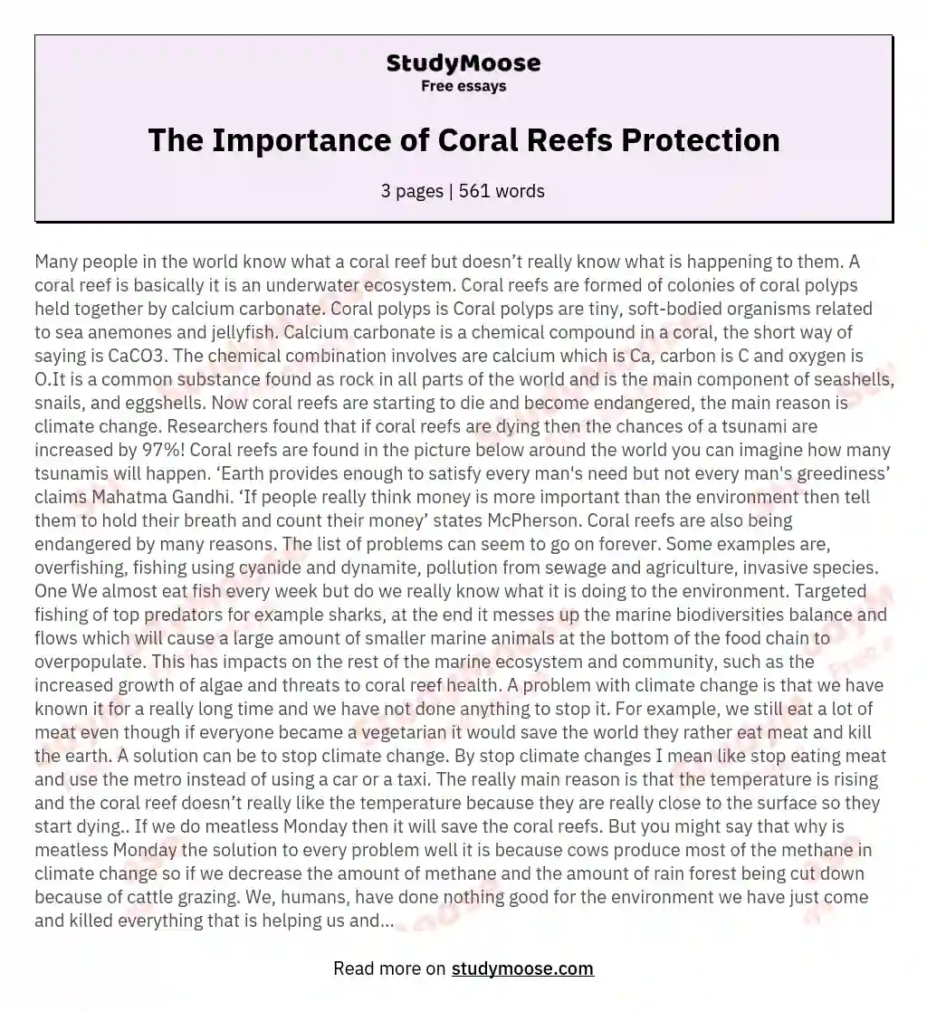 The Importance of Coral Reefs Protection essay