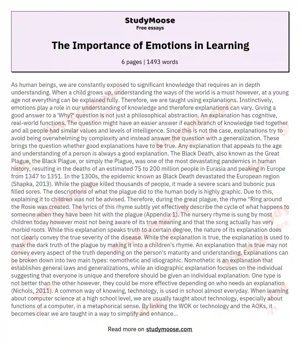 The Importance of Emotions in Learning essay