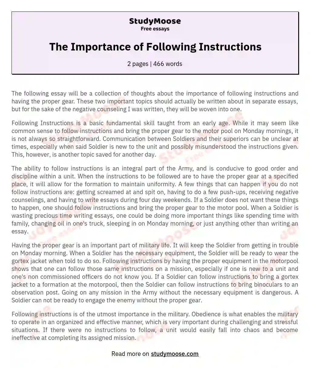 The Importance of Following Instructions essay