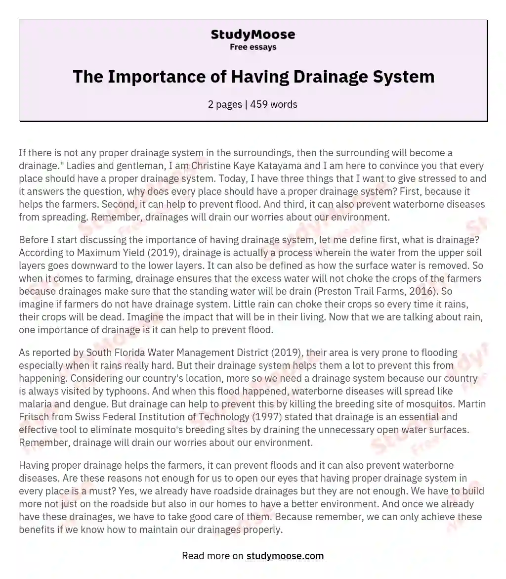 The Importance of Having Drainage System essay