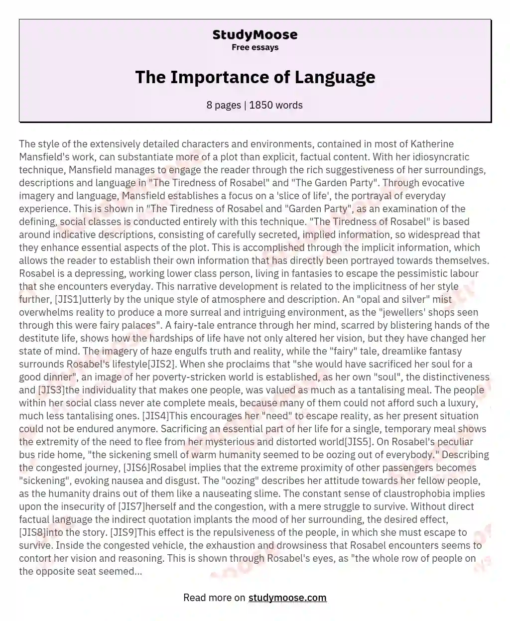 The Importance of Language essay