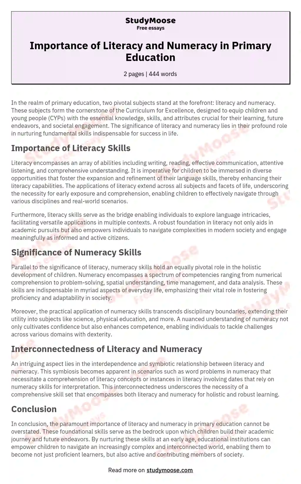 Importance of Literacy and Numeracy in Primary Education essay