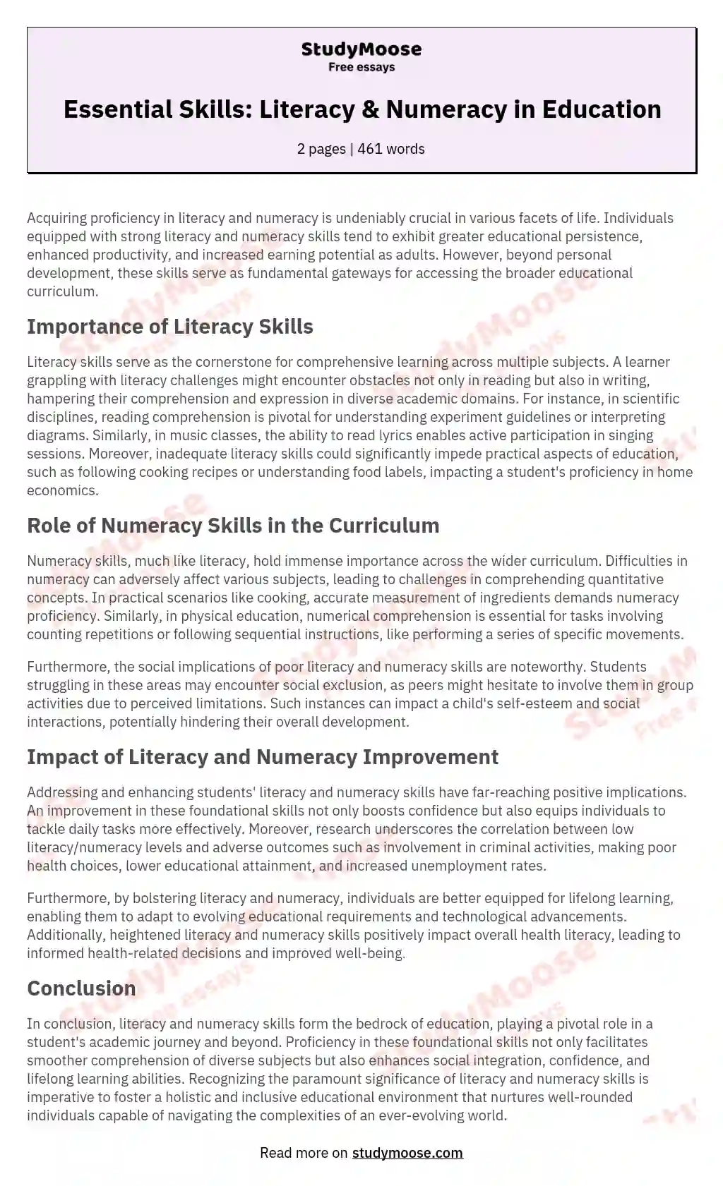 Essential Skills: Literacy & Numeracy in Education essay